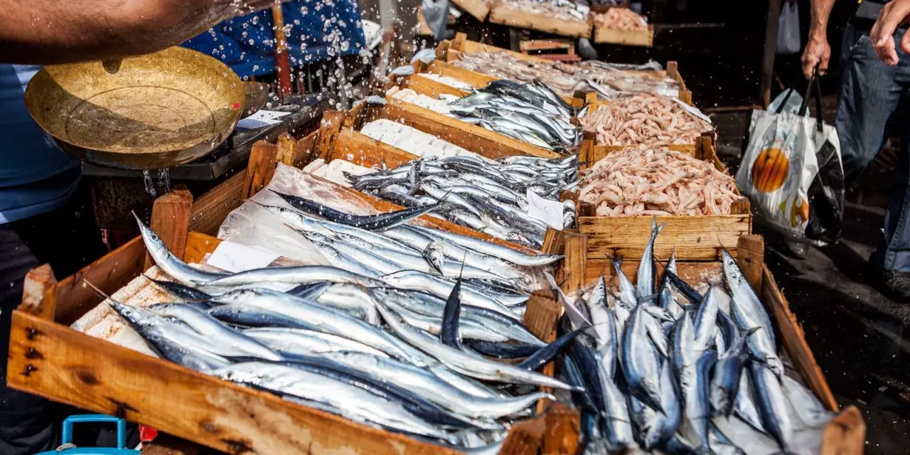Qual è la città più economica dove mangiare pesce fresco in Italia?