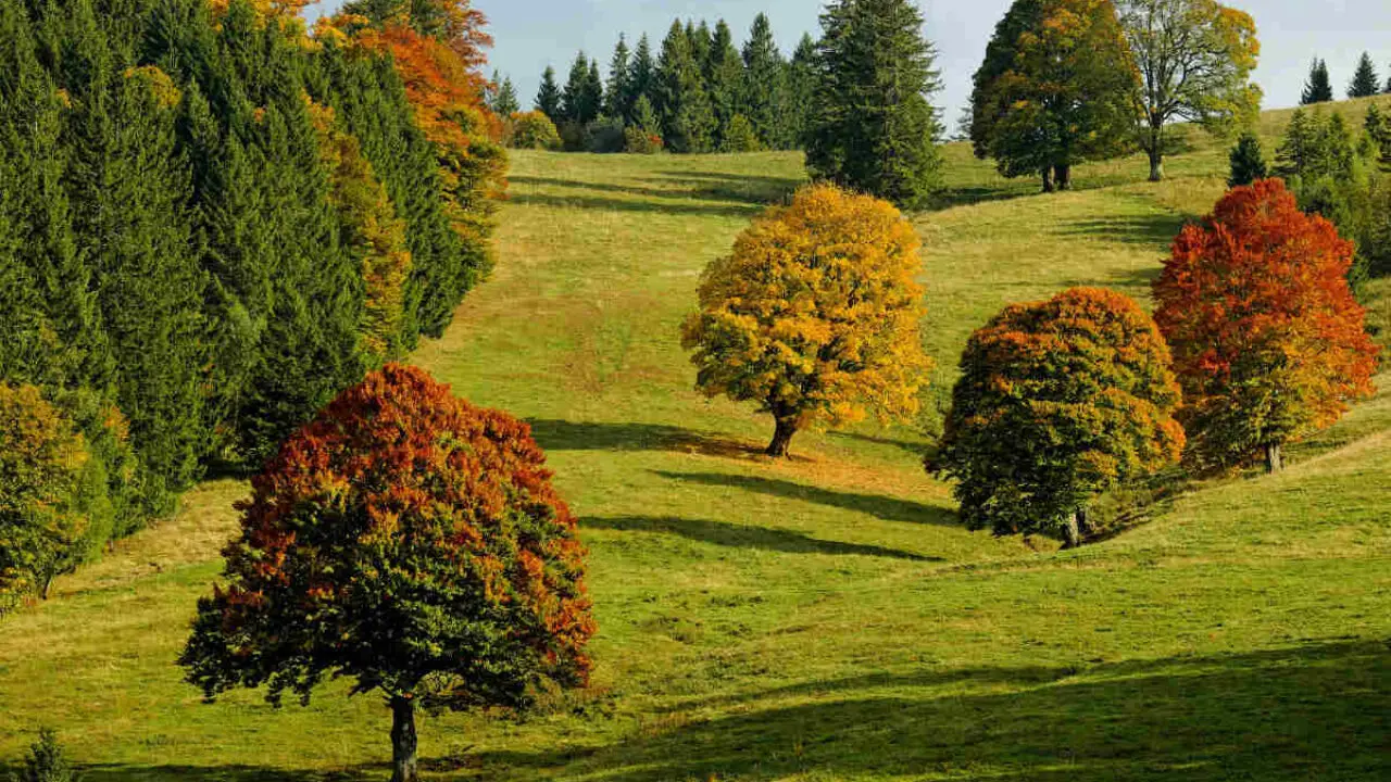 Quando andare in Trentino per godersi i colori dell’autunno? Il periodo ideale